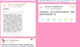 小晨的吃瓜日记免费阅读,揭秘娱乐圈幕后故事