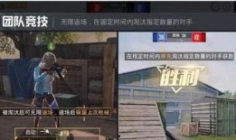 和平精英打击爆料视频,打击爆料视频背后的真相与内幕